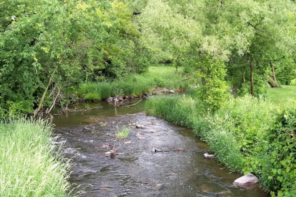 The Credit River flowing between grassy, wooded banks in Savage, Minnesota